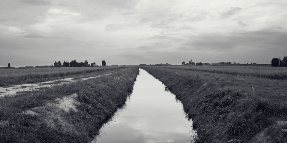 Rice field Micheoloni